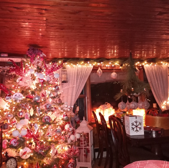 Meet your Posher, Jamie - Picture 15 of 16